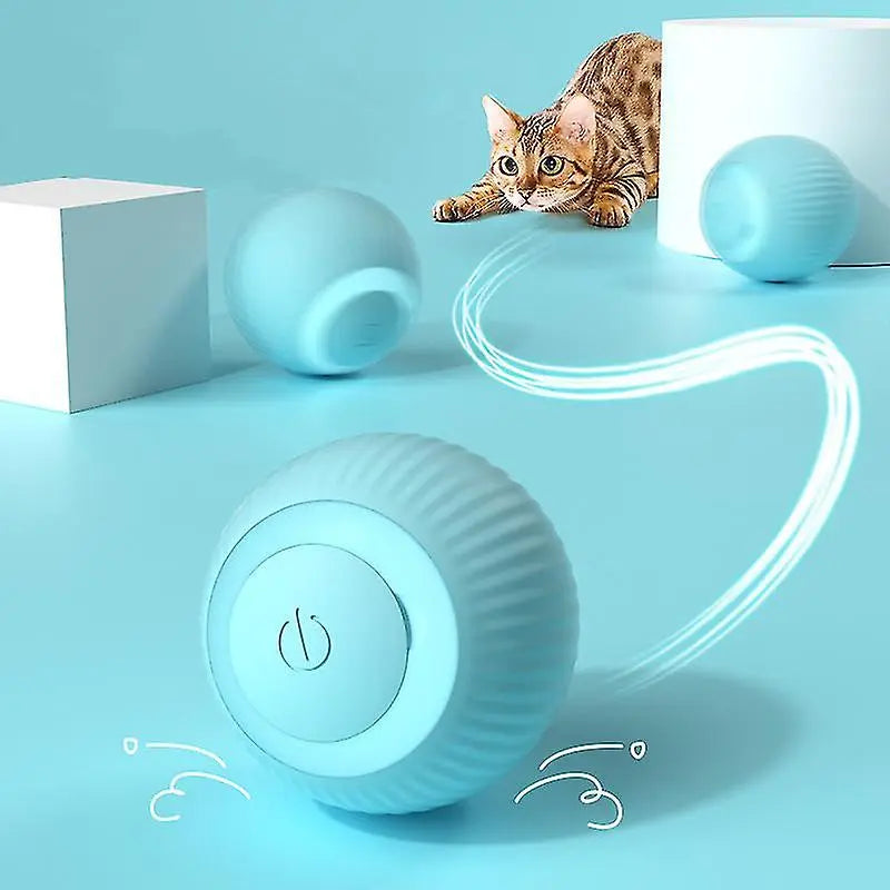 Pawfect Rolling Ball