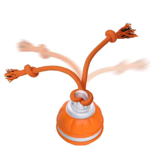 Pawfect Rolling Dog Ball