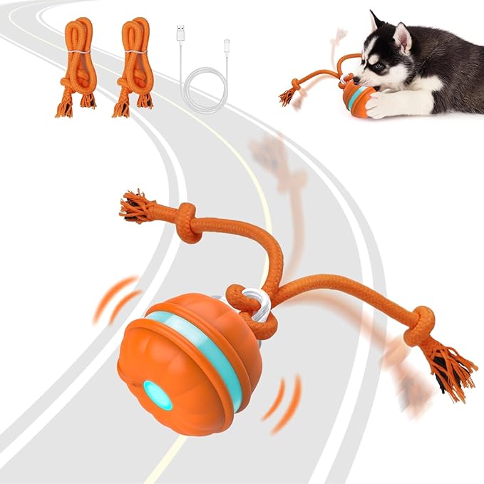 Pawfect Rolling Dog Ball