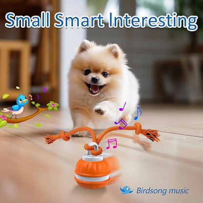 Pawfect Rolling Dog Ball