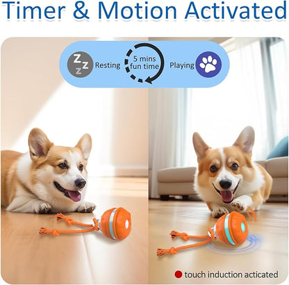 Pawfect Rolling Dog Ball