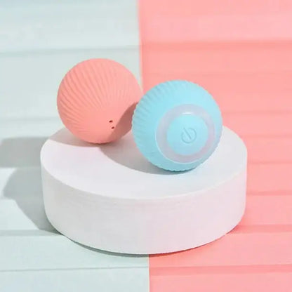 Pawfect Rolling Ball