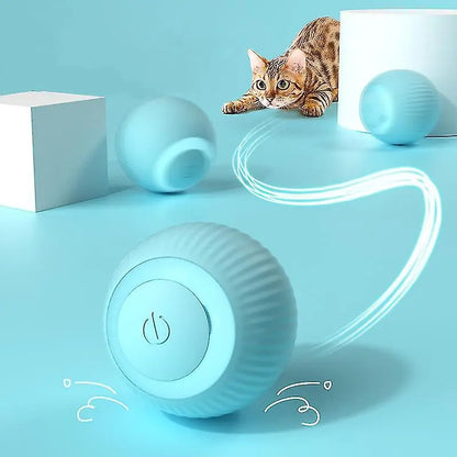 Pawfect Rolling Ball