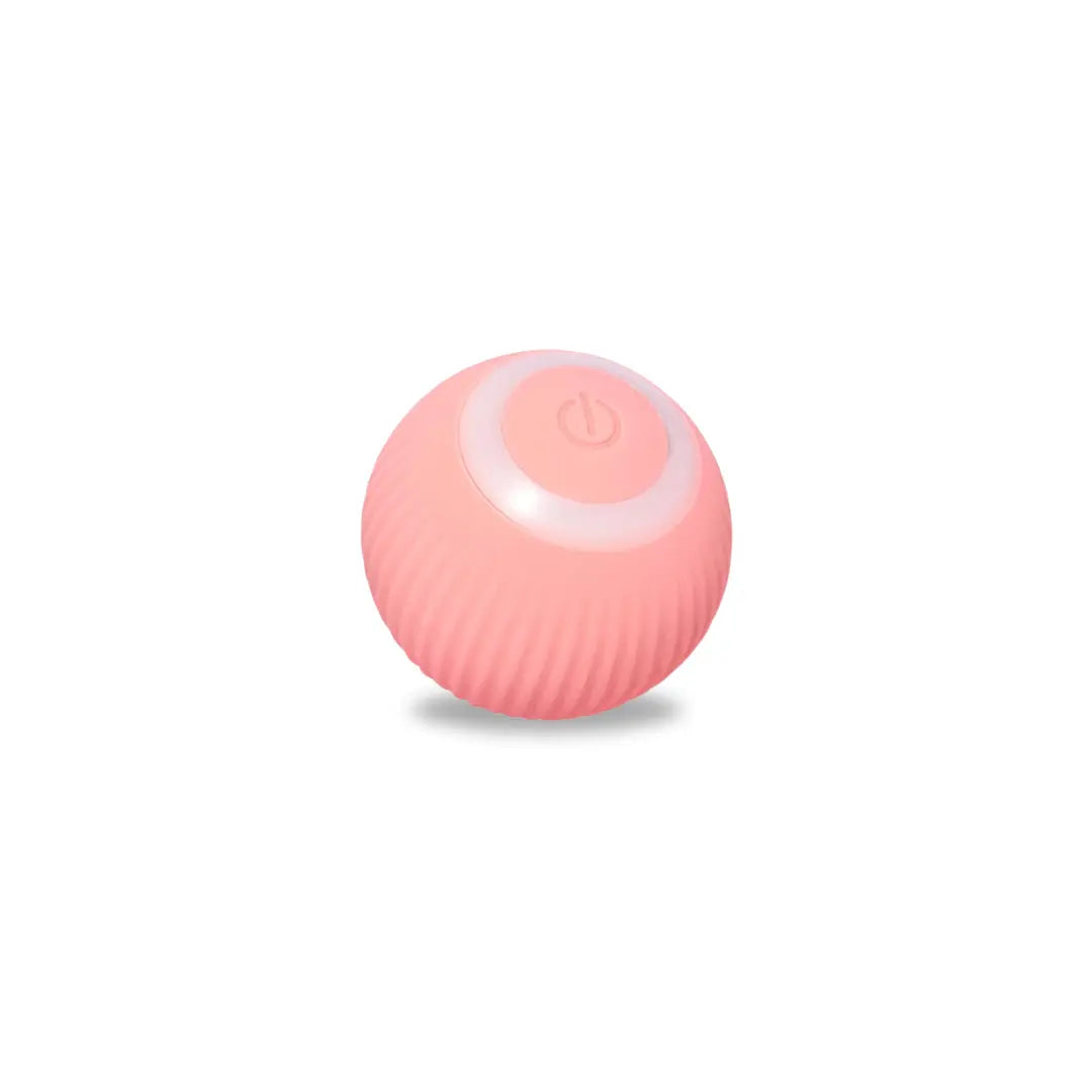 Pawfect Rolling Ball