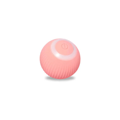 Pawfect Rolling Ball