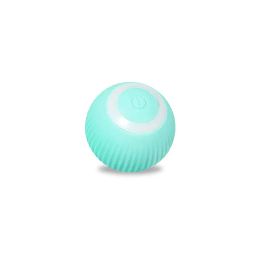 Pawfect Rolling Ball